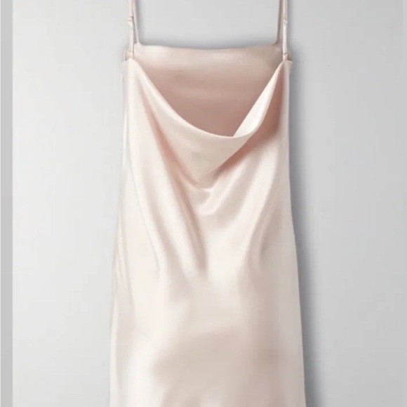 Aritzia Babaton Encore Dress, Denude size M - Picture 2 of 3